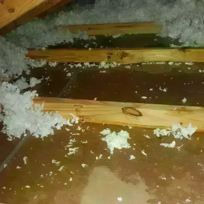 Attic Water Damage in Ohio County, IN