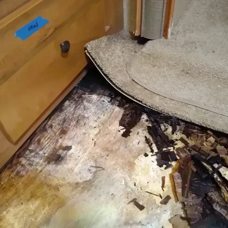 Best Wood Floor Water Damage Service in Ohio County, IN